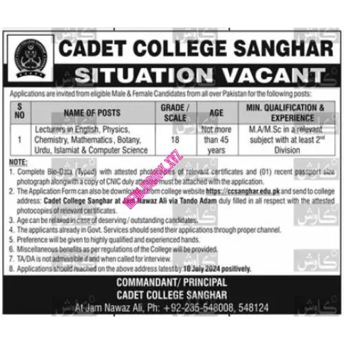 Jobs In Sanghar Sindh in July 2024