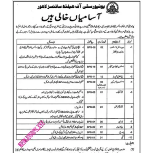 Data Entry Operator Jobs In Lahore in August 2024