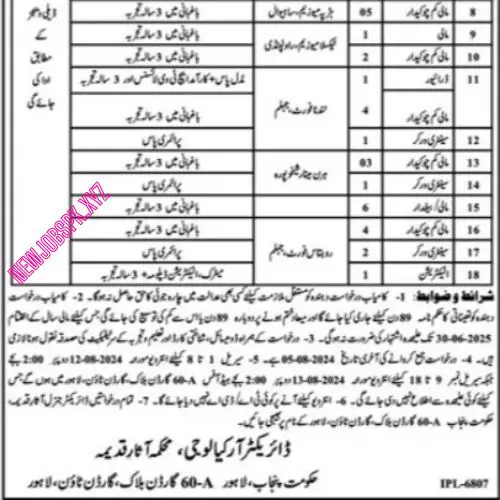 Govt Jobs In Lahore in August 2024