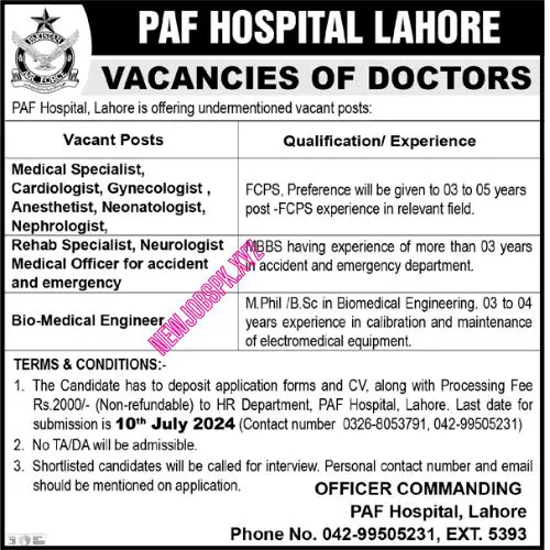 PAF Gov PK Jobs In Lahore in July 2024