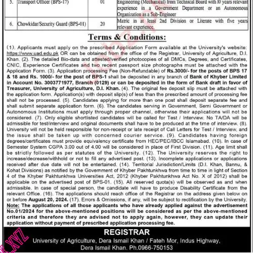 Jobs In Dera Ismail Khan in 2024