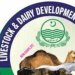 Live Stock and Dairy Development