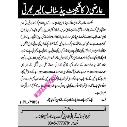 Latest Jobs In Okara in 2024