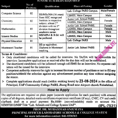 Latest Teaching Jobs In Faisalabad in 2024