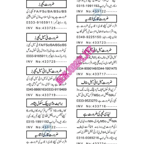 Latest Teaching Jobs In Peshawar in 2024